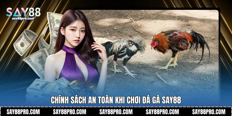 Chính sách an toàn khi chơi đá gà Say88