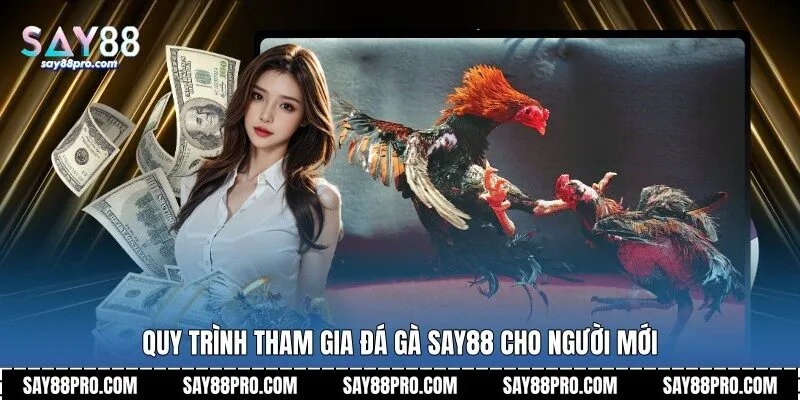Quy trình tham gia đá gà Say88 cho người mới